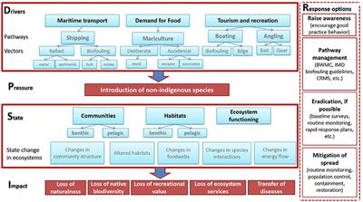 Advantages and Limitations of Environmental DNA/RNA Tools for Marine Biosecurity: Management and Surveillance of Non-indigenous Species